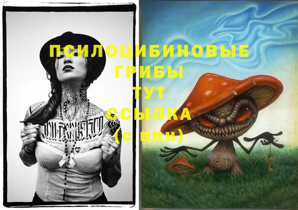 индика Алзамай