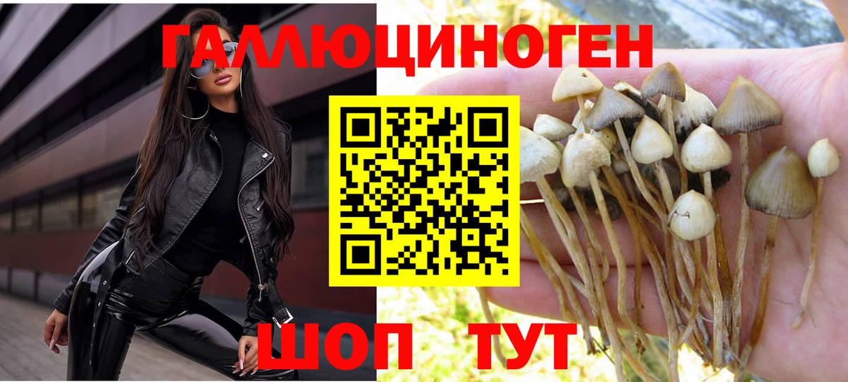 Галлюциногенные грибы Psilocybe  Вход с VPN  Дюртюли 